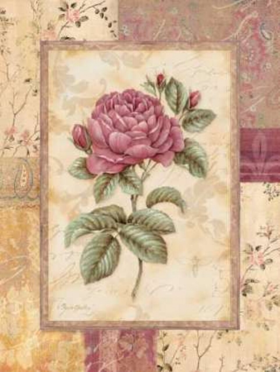 Provence Rose I Poster Print by Pamela Gladding - Item # VARPDXGLA480
